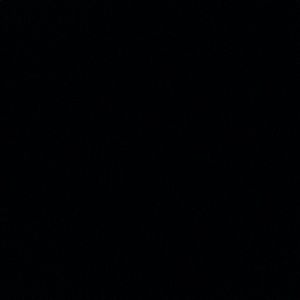 Meet your Posher, Priscilla